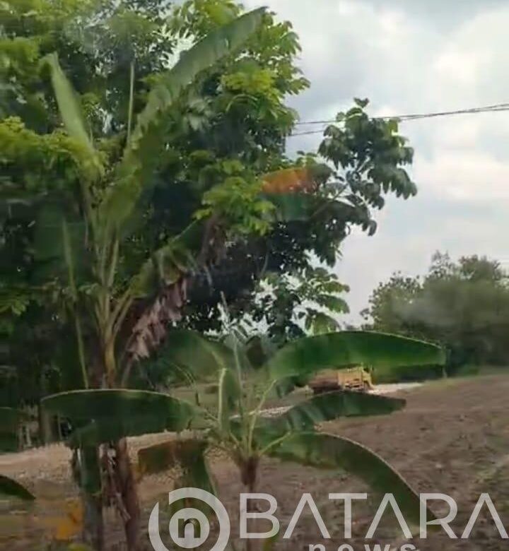 Mafia Tambang Keruk Alam Bojonegoro, ciptakan potensi kerugian negara, Ironisnya Tak Satupun APH Bertindak