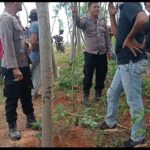 Diajak Diskusi Terbuka Tak Pernah Datang Gapoktan Desa Karangsari Malah Bikin Suasana Memanas