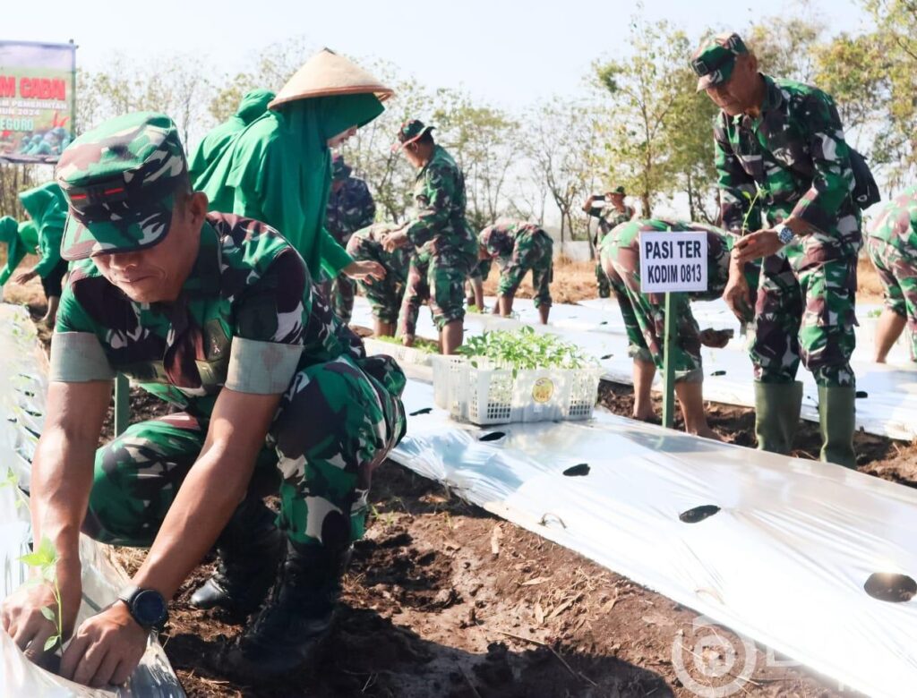 Optimalkan Lahan Kosong, Kodim Bojonegoro Tanam Ribuan Bibit Cabai