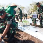 Optimalkan Lahan Kosong, Kodim Bojonegoro Tanam Ribuan Bibit Cabai