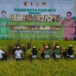 Danrem 082/CPYJ Panen Raya Padi bersama Kelompok Tani Mulyorejo