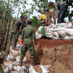 Perkuatan Tanggul Sungai Retak, Anggota Koramil Tambakromo Dikerahkan Karya Bakti