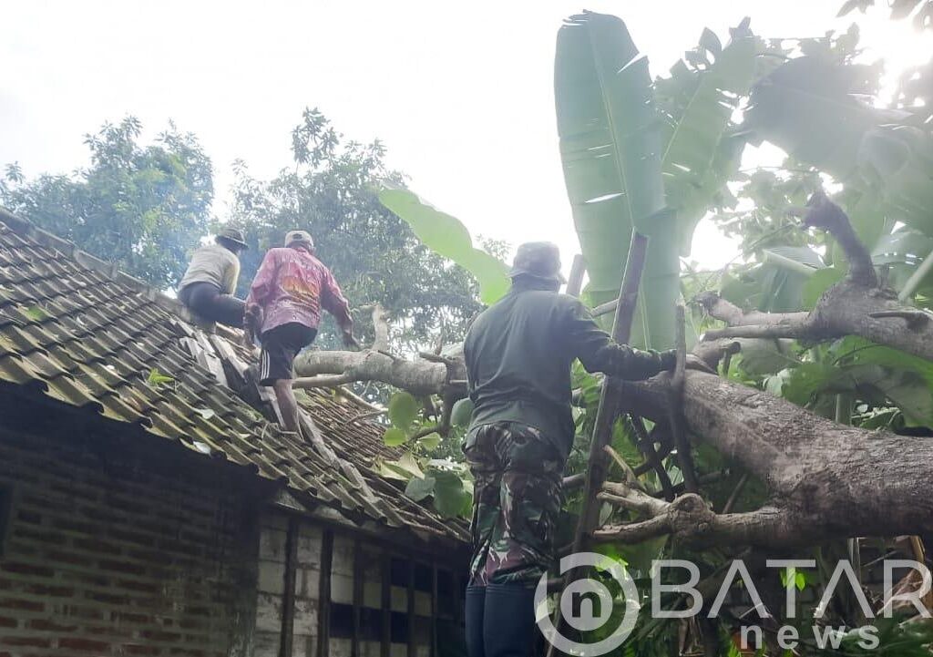 Babinsa Koramil Kanor Bojonegoro bantu Evakuasi Pohon Roboh yang Menimpa Rumah Warga
