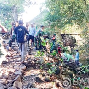 Babinsa Gondang Gotong royong bareng Warga Sambongrejo Bangun Bronjong dan Jalan Makadam