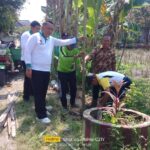 Ganti kompensasi: Pemdes Perindah estetika dan merawat lingkungan Tanam penghijauan