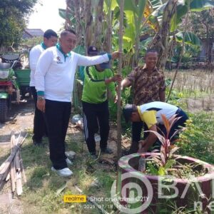 Ganti kompensasi: Pemdes Perindah estetika dan merawat lingkungan Tanam penghijauan