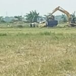 Aktifitas Galian C Diduga Tak Berijin Bebas Beroperasi di Desa Meteseh Kaliori 