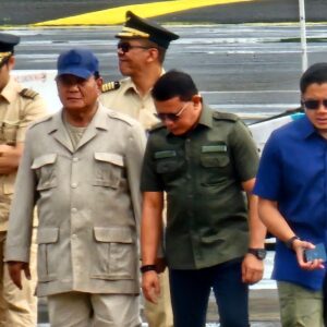 Fauka Noor Farid: Jangan Persoalkan Bendera One Piece, tapi Merah Putih Harus Tetap Berkibar