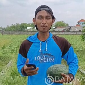 Manisnya Semangka, Manisnya Harapan, MBG dan Nasib Petani Bojonegoro