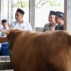 Lahirnya Pusat Daging Halal: RPH MAJT Diresmikan Wagub Tak Yasin Jadi Kunci Utama Ekosistem Syariah Jateng