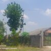 Bising Mesin Ilegal dan Potensi Kebocoran Triliunan: Jejak Gelap PT Nesr di Tuban, Ancaman Kerugian Negara