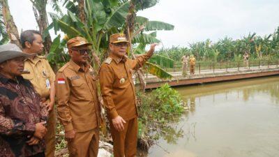 Bupati Pati Tinjau Titik Kritis di Sukolilo, Pastikan Penanganan Banjir Berjalan Maksimal