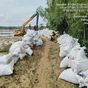 Tanggul Sungai Widodaren Jebol, DPUTR Pati Lakukan Penanganan Darurat
