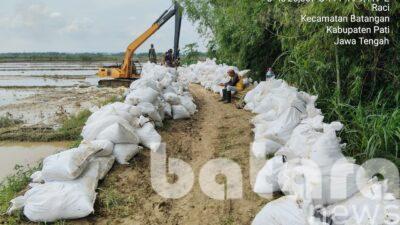 Tanggul Sungai Widodaren Jebol, DPUTR Pati Lakukan Penanganan Darurat