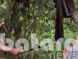 Sore Membara di Sugihan,Remaja Tewas Terpanggang Setelah Motor Masuk Jurang — Detik Hitam yang Mengguncang Bojonegoro