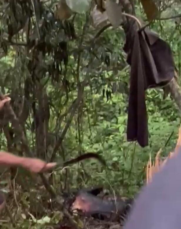 Sore Membara di Sugihan,Remaja Tewas Terpanggang Setelah Motor Masuk Jurang — Detik Hitam yang Mengguncang Bojonegoro