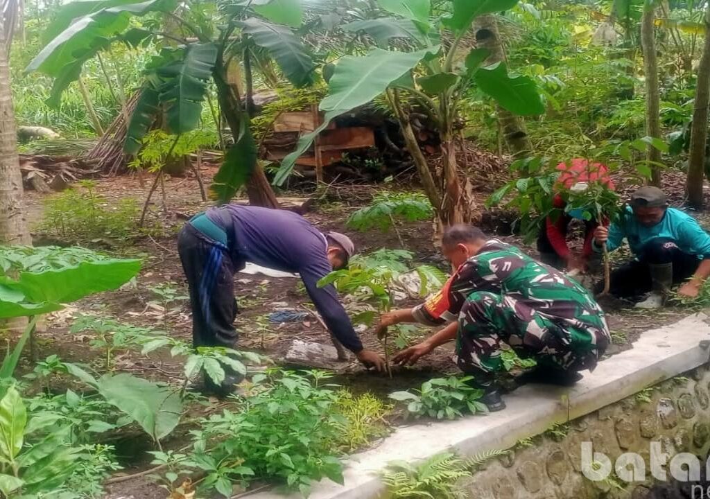Babinsa Garum dan Gapoktan Kompak Tanam Mahoni, Dorong Gerakan Nusantara Hijau