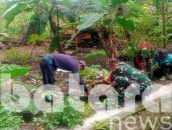 Babinsa Garum dan Gapoktan Kompak Tanam Mahoni, Dorong Gerakan Nusantara Hijau