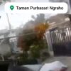 Hujan Disertai Angin Kencang Terjang Ngraho, Pohon Tumbang dan Atap Rumah Warga Terlepas