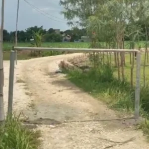 Screenshot 20251213 094626