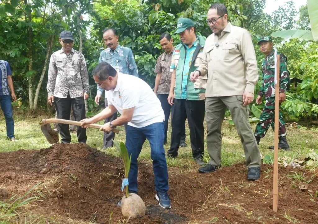 Panen Cuan! 10.000 Bibit Kelapa Gratis Ubah Nasib Petani Pati