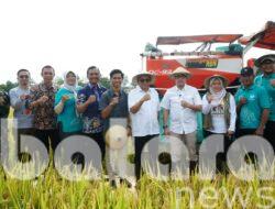 Bumiharjo Buktikan Panen 10 Ton Per Hektare 